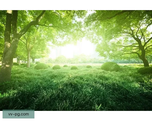 2026年世界杯绿色办赛白皮书全面解读与可持续实践探索 2026年世界杯绿色办赛白皮书全面解读与可持续实践探索