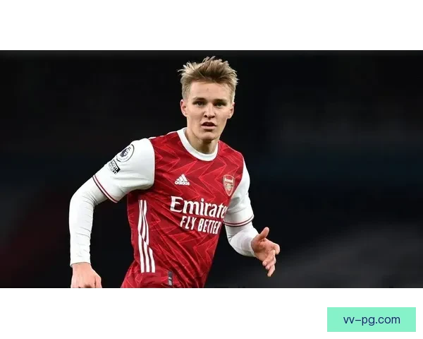 厄德高因重伤将缺席重要比赛 可能错过数周赛程