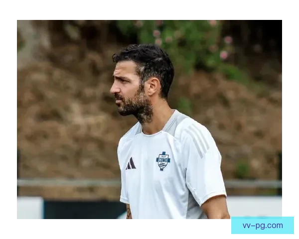 法布雷加斯在意乙科莫正式宣布退役结束职业生涯